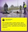 Przeciętny Kowalski vs pisowski notabl