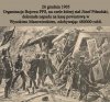 Bandycki atak? Działanie terrorystyczne?