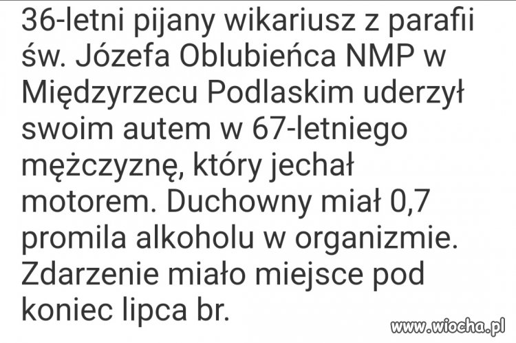 Takich kwiatków pełno 