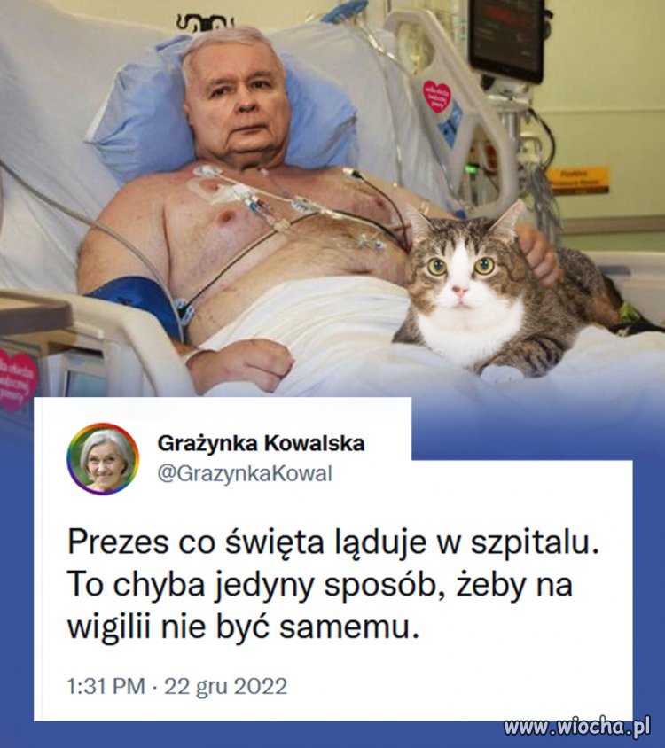 Prezesowskie przydupasy chociaż