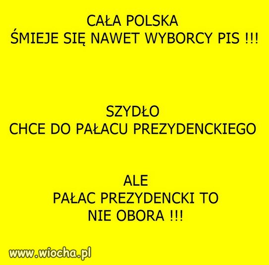 Sondaż. Wyborcy PiS wskazali miejsce Beaty Szydło.