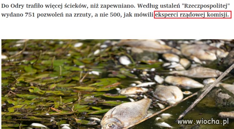 Taki tam dowcip dnia