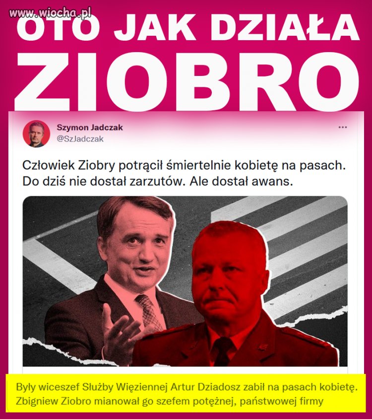 I co wy na to pisowscy szmaciarze 