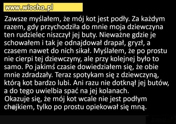 Heheszki