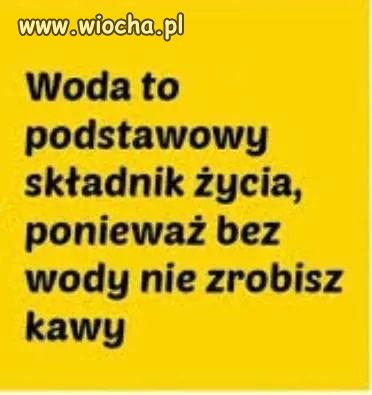 Potwierdzam