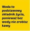 Potwierdzam