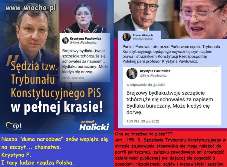 Krystyna P. wzór "doskonałości"