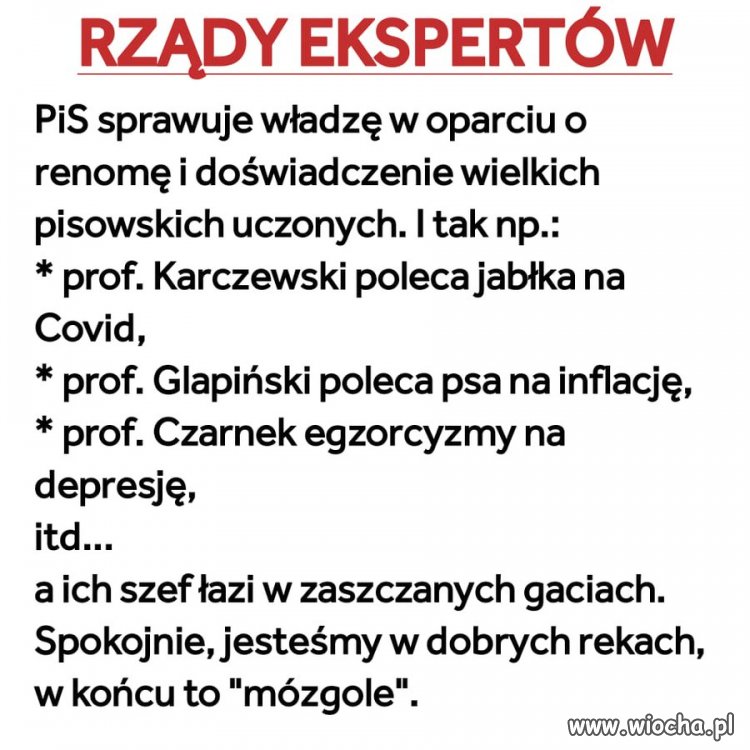 Rząd ekspertów