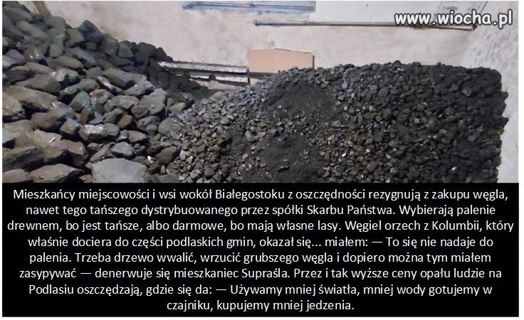 Co Suski potrafi zrobić prawidłowo?