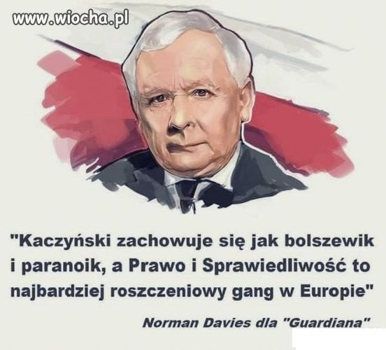 Czego nie rozumiecie