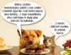Tyle zysku