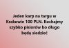 Zostaje życzyć pis-du żeby to były ostatnie święta na wolności