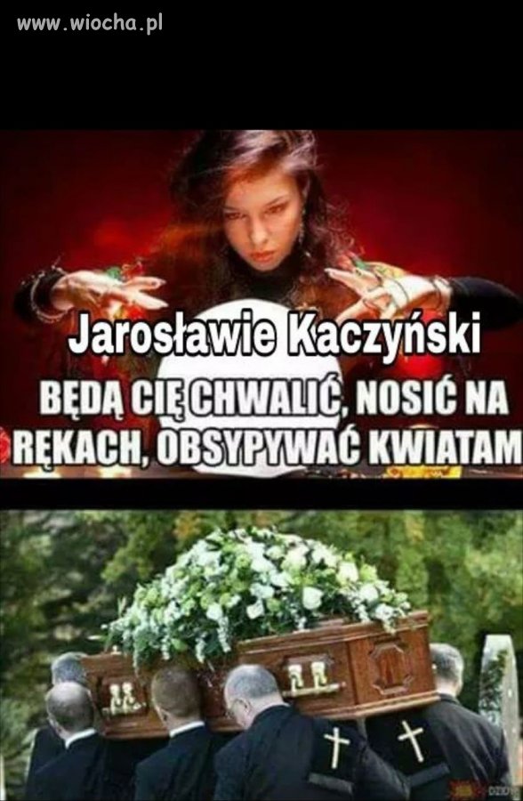 Znalezione 