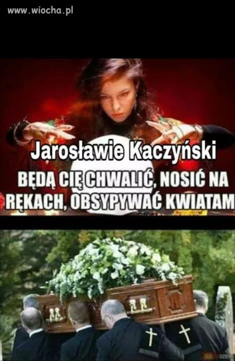 Znalezione 