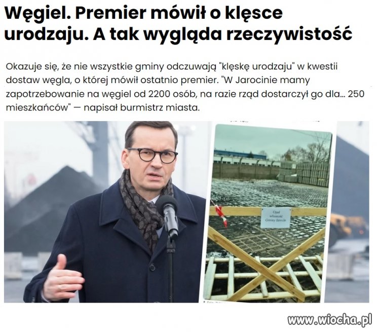 Klęska urodzaju...