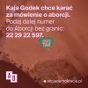 Co z tym kobietonem jest nie tak?