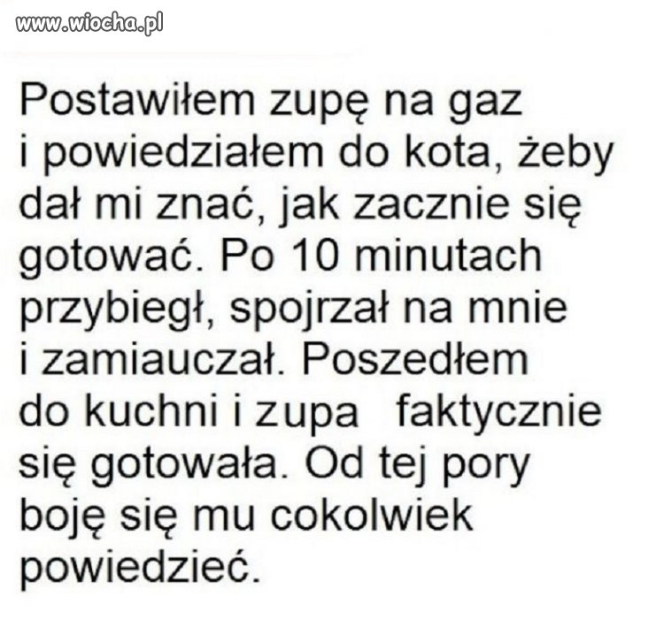 Strach takiego 