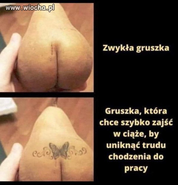 Gruszka
