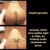 Gruszka