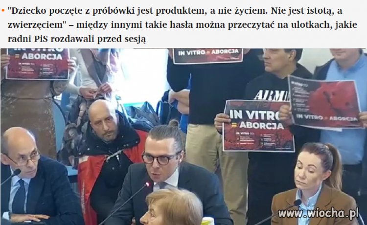 Katotalibowie w akcji