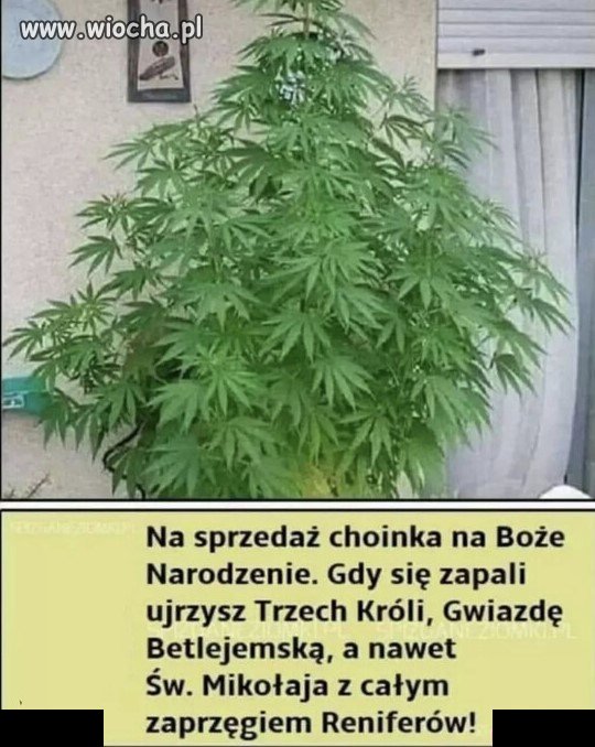 Znalezione