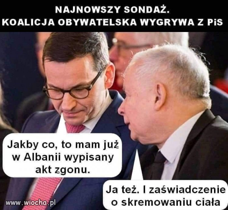 Na pewno mają gotowy plan