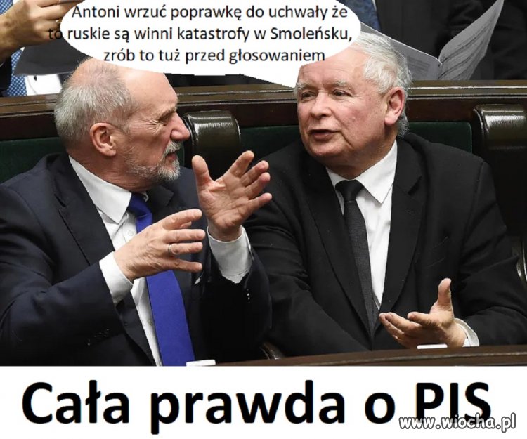 Tak działa PIS