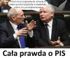 Tak działa PIS