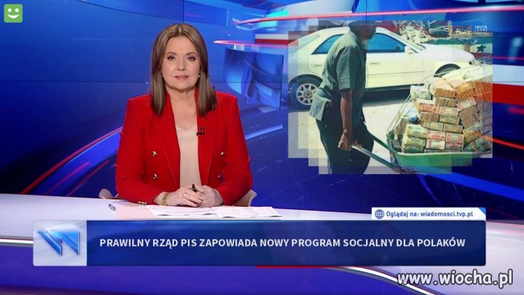 Taczka+
