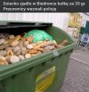 żyjemy