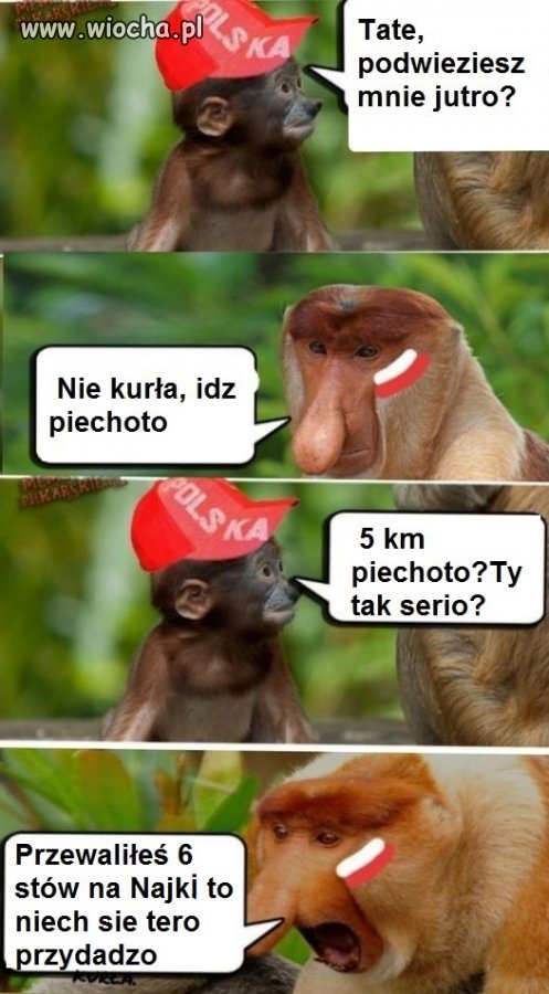 Niech zaczną zarabiać