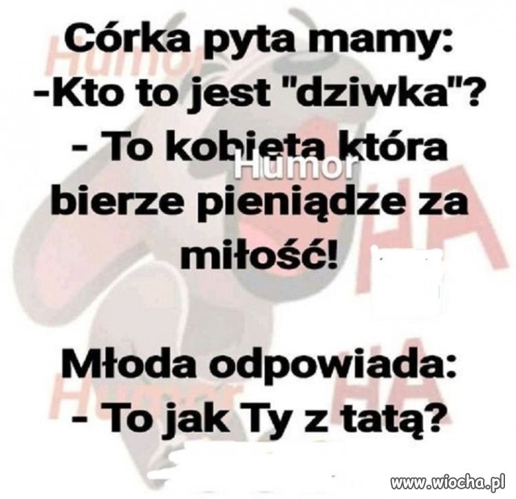 Szybko załapała