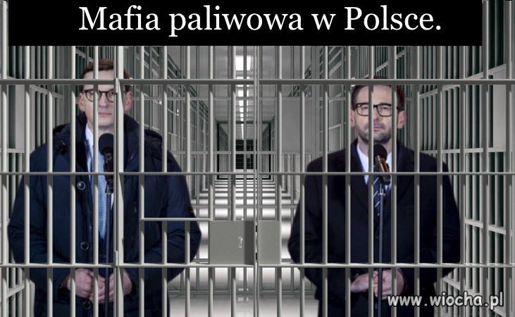 Tak to widzę