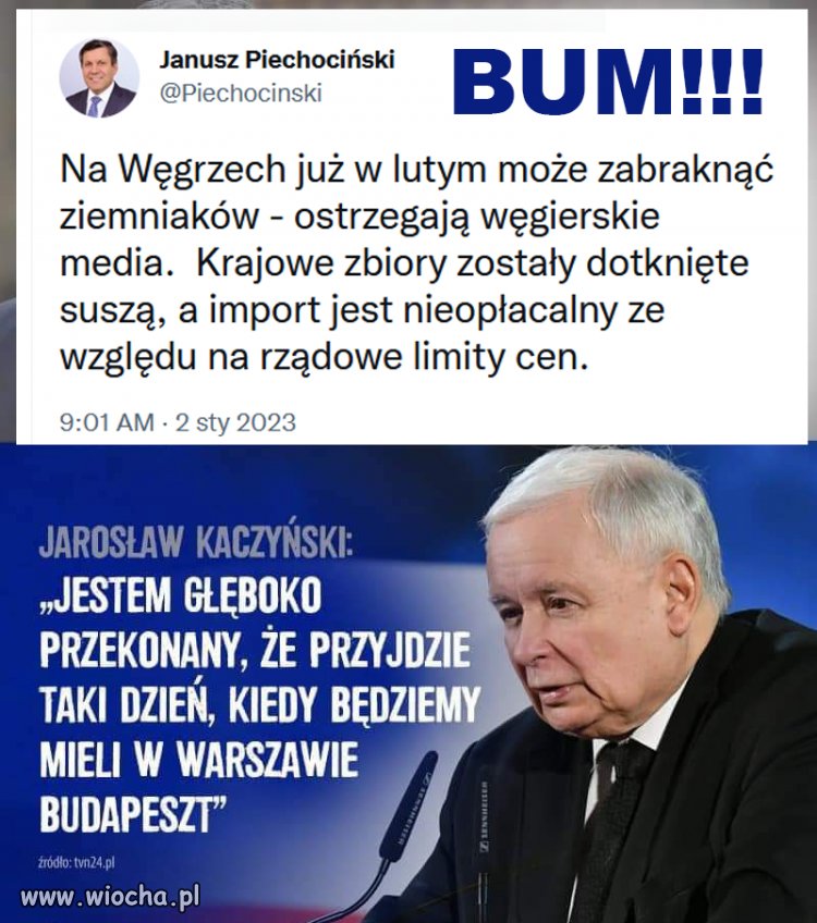 Zawsze mogą podebrać dzikom!