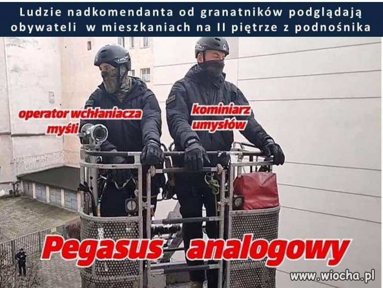 Analogowo