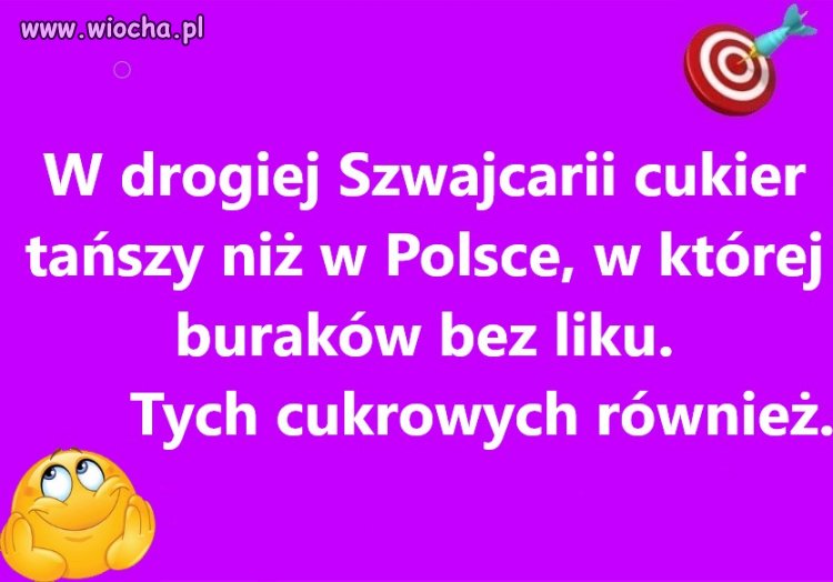 Bo Sasin jest prezesem buraków rządowych