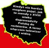 Czekamy na drugiego Kościuszkę, który rozliczy Targowiczan z PiS, 