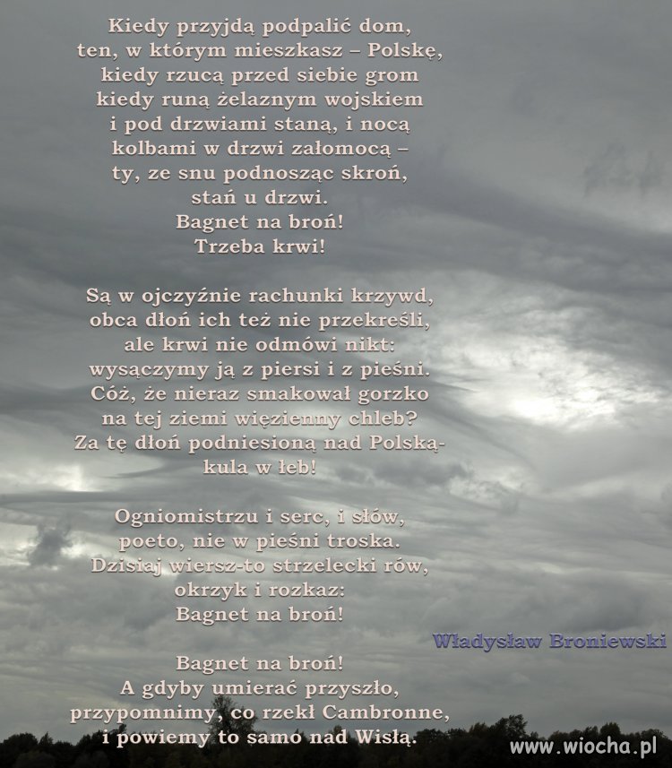 Poezja Polska