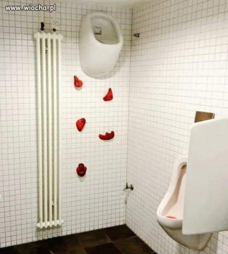 Wc dla alpinistów 