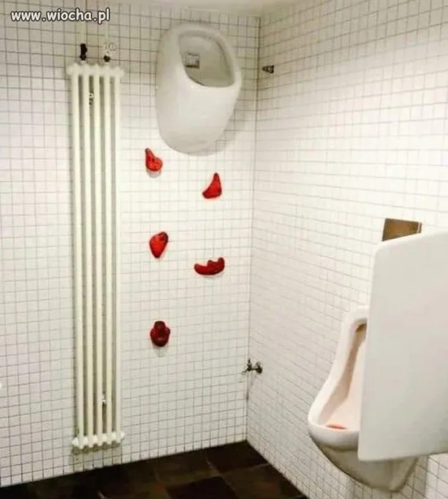 Wc dla alpinistów 