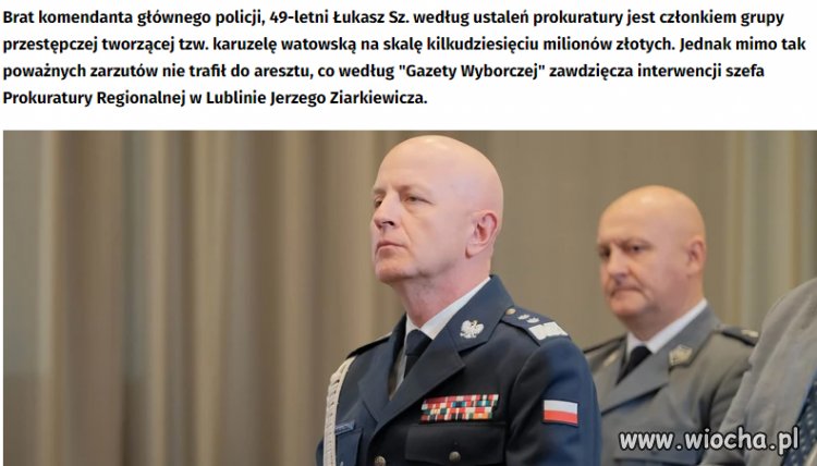 Rodzinka sługusów pisu jak zwykle nietykalna