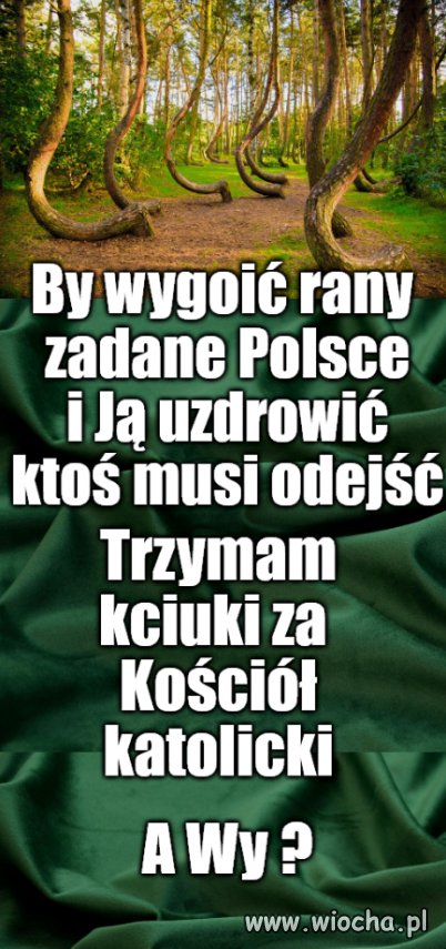 Trzymacie kciuki za Kościół katolicki ?