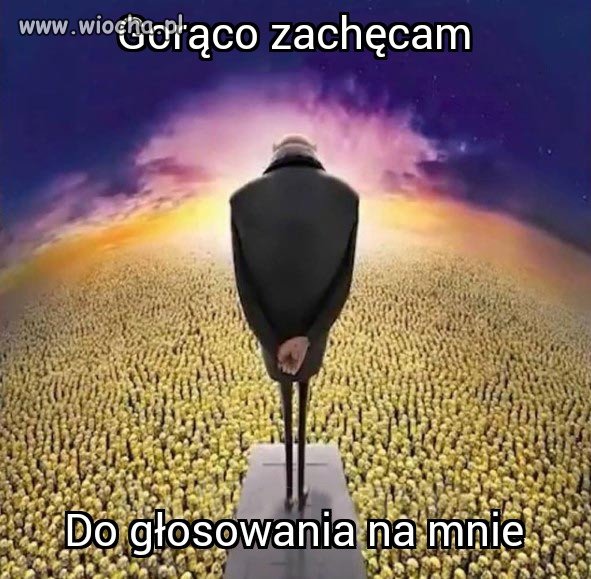 Polityka
