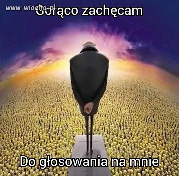 Polityka