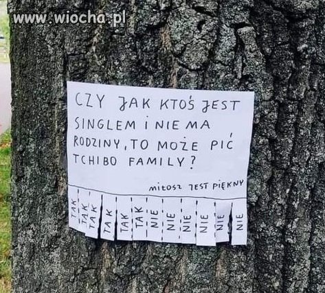 No właśnie