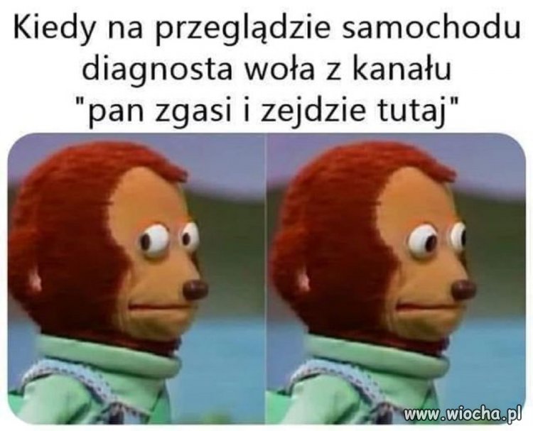 I już wiesz