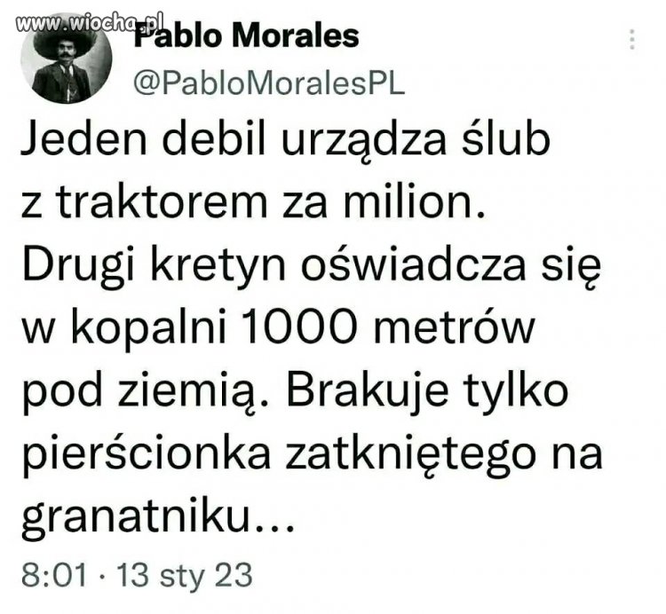 Celebryci pisowscy