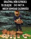 Passata kupił dziod