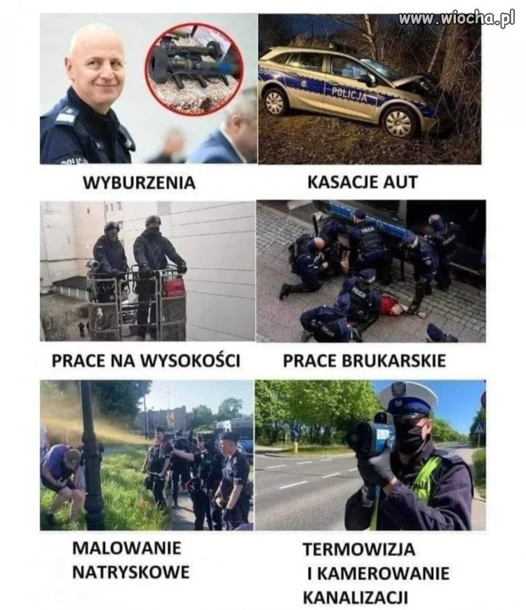 PiSlicja