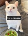 Wszystko jasne.